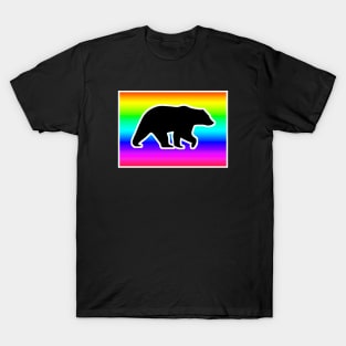 Rainbow Bear Graphic T-Shirt
